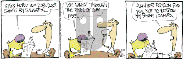 The Duplex on Monday May 30, 2016 Comic Strip