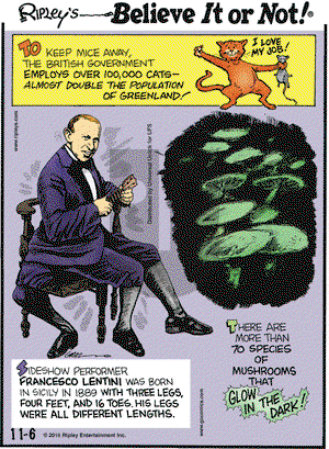 Ripley's Believe It or Not on Friday November 6, 2015 Comic Strip