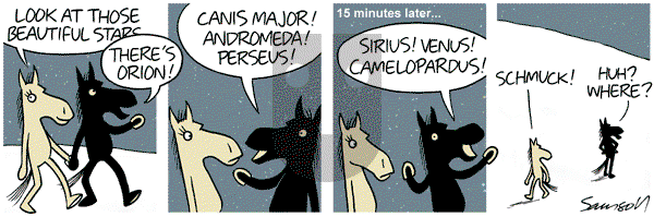Dark Side of the Horse on Sunday February 13, 2011 Comic Strip