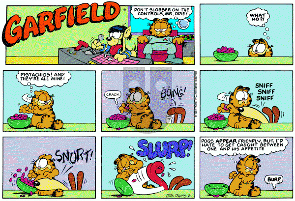 Garfield on Sunday February 1, 1987 Comic Strip