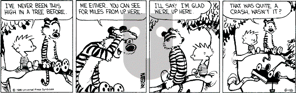 Calvin and Hobbes - Monday June 16, 1986 Comic Strip