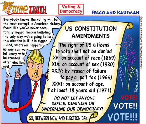 ViewsAmerica on Sunday November 1, 2020 Comic Strip