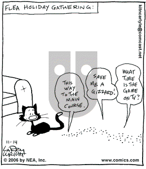 Kit 'N' Carlyle on Tuesday November 14, 2006 Comic Strip