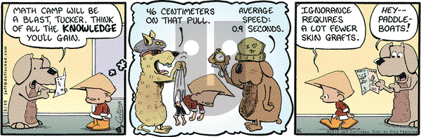 DeFlocked on Tuesday May 25, 2010 Comic Strip