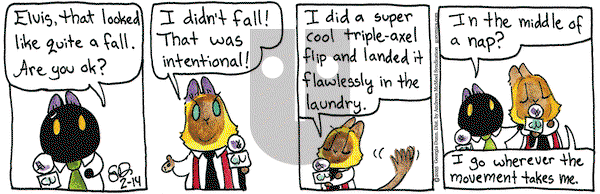 Breaking Cat News - Friday February 14, 2025 Comic Strip