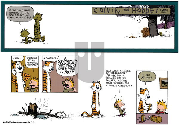 Calvin and Hobbes on Sunday November 7, 1993 Comic Strip