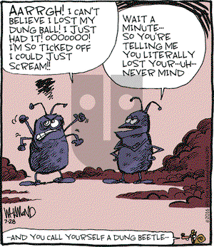 Reality Check on Thursday July 28, 2016 Comic Strip