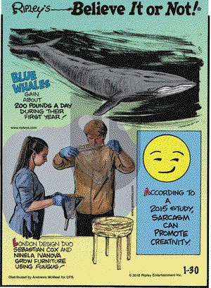 Ripley's Believe It or Not on Tuesday January 30, 2018 Comic Strip