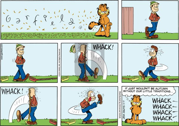 Garfield on Sunday November 7, 2010 Comic Strip