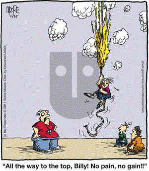 In the Bleachers on Tuesday November 29, 2011 Comic Strip