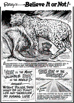 Ripley's Believe It or Not on Friday November 24, 2006 Comic Strip