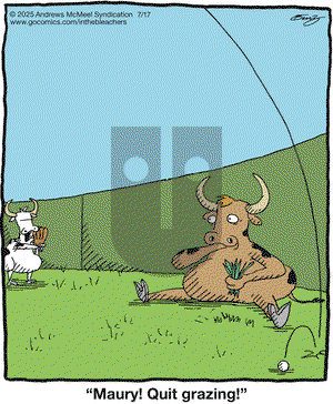 In the Bleachers on 2025-07-17 Comic Strip