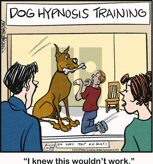Marmaduke on Wednesday November 27, 2019 Comic Strip