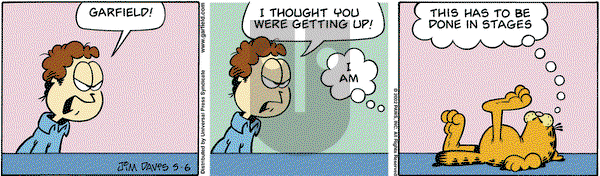 Garfield - Monday May 6, 2002 Comic Strip