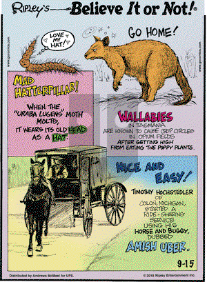 Ripley's Believe It or Not on Saturday September 15, 2018 Comic Strip