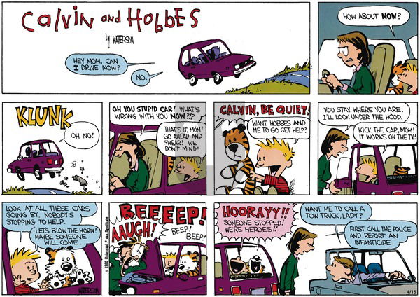 Calvin and Hobbes on Sunday June 2, 1991 Comic Strip