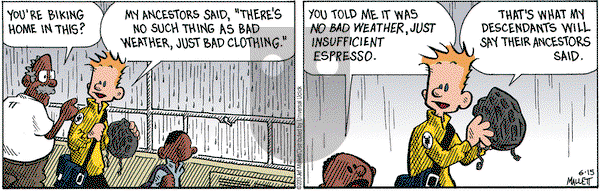 Frazz on Saturday June 15, 2013 Comic Strip