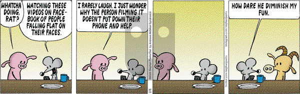 Pearls Before Swine - Saturday February 8, 2025 Comic Strip