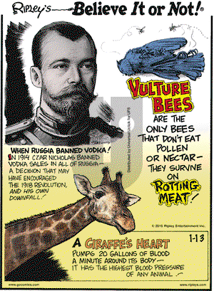 Ripley's Believe It or Not on Tuesday January 13, 2015 Comic Strip