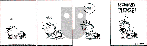 Calvin and Hobbes on Friday May 29, 2015 Comic Strip