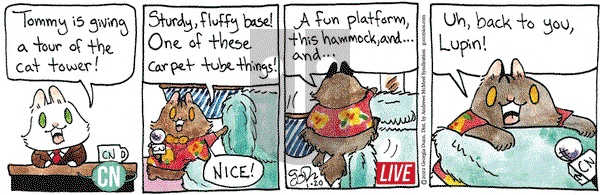 Breaking Cat News - Thursday January 20, 2022 Comic Strip