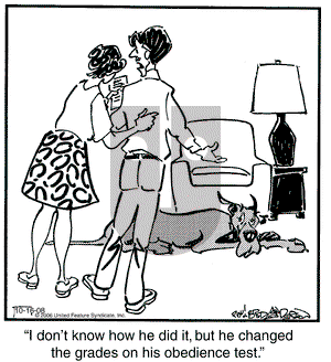 Marmaduke - Thursday October 16, 2008 Comic Strip