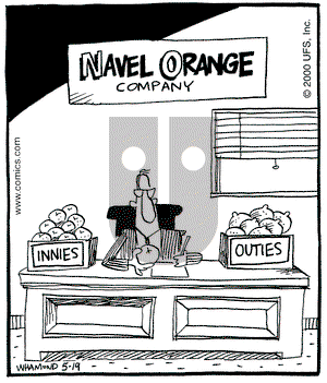 Reality Check on Friday May 19, 2000 Comic Strip