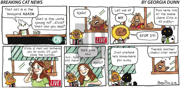 Breaking Cat News on Sunday June 18, 2017 Comic Strip