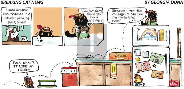 Breaking Cat News on Sunday January 10, 2021 Comic Strip