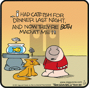Ziggy on Friday July 27, 2001 Comic Strip