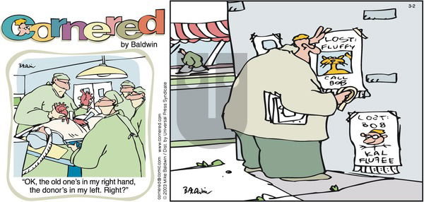 Cornered on Sunday March 2, 2003 Comic Strip