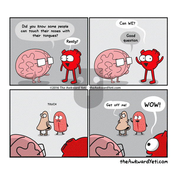 The Awkward Yeti on Tuesday July 12, 2016 Comic Strip