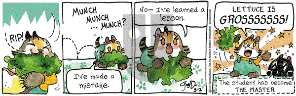 Breaking Cat News on Saturday March 2, 2019 Comic Strip