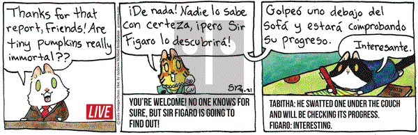 Breaking Cat News - Saturday September 21, 2024 Comic Strip