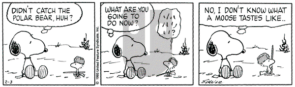 Peanuts on Wednesday February 3, 1993 Comic Strip