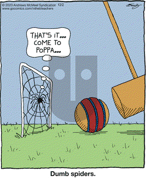 In the Bleachers - Saturday December 2, 2023 Comic Strip