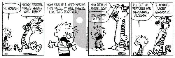 Calvin and Hobbes on Tuesday October 8, 1991 Comic Strip