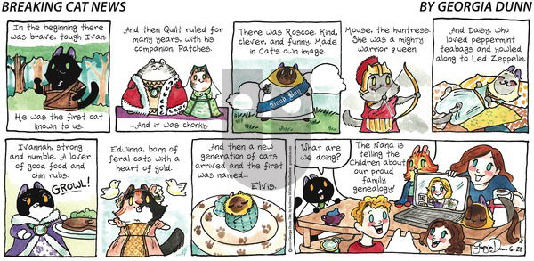 Breaking Cat News on Sunday June 28, 2020 Comic Strip