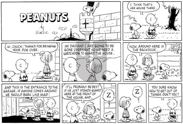 Peanuts on Sunday August 22, 1993 Comic Strip