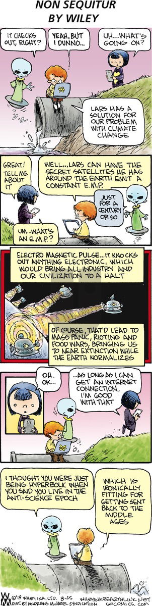 Non Sequitur on Sunday August 25, 2019 Comic Strip