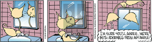 Rose is Rose - Thursday May 17, 2018 Comic Strip