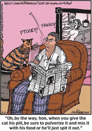 Close to Home on Thursday February 2, 2017 Comic Strip