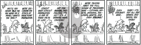 Doonesbury on Saturday May 17, 1975 Comic Strip