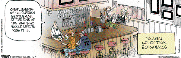 Non Sequitur on Wednesday June 4, 2025 Comic Strip