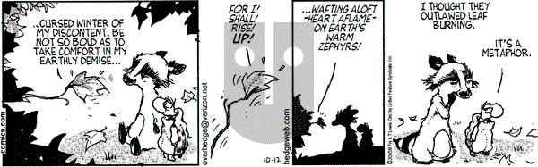 Over the Hedge on Sunday December 18, 2005 Comic Strip