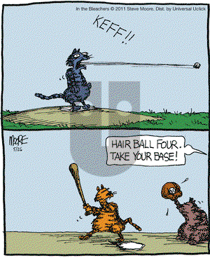 In the Bleachers on Thursday May 26, 2011 Comic Strip