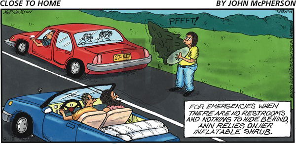 Close to Home on Sunday August 18, 2024 Comic Strip