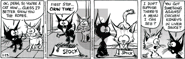 Heart of the City on Tuesday November 23, 2004 Comic Strip