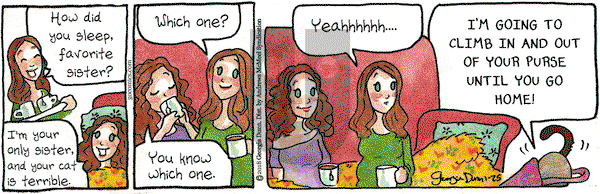 Breaking Cat News on Thursday January 25, 2018 Comic Strip