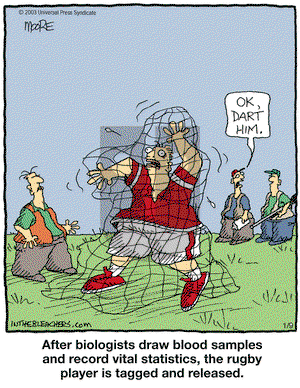 In the Bleachers on Tuesday January 9, 2007 Comic Strip